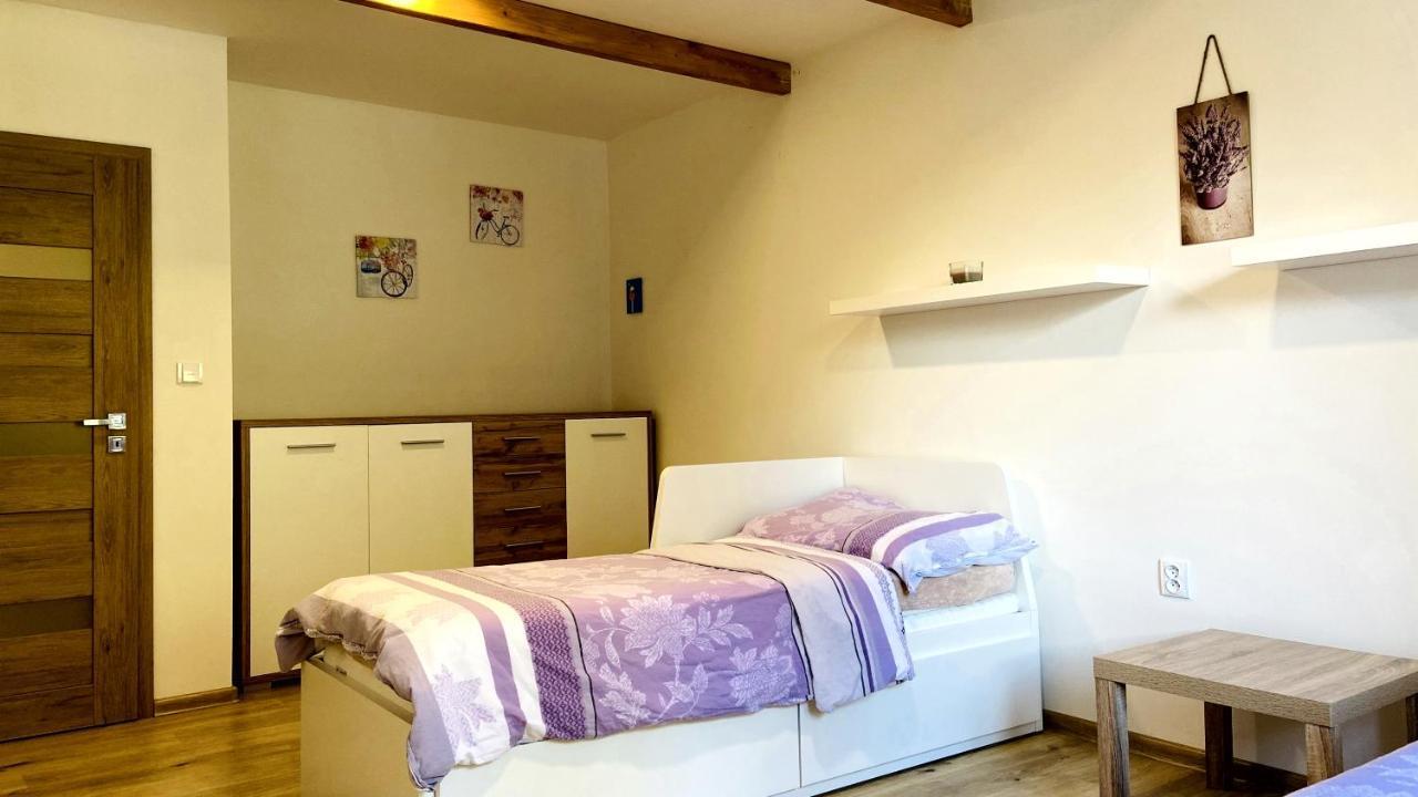 Apartmány u Bohumila Rybna nad Zdobnici Exterior foto