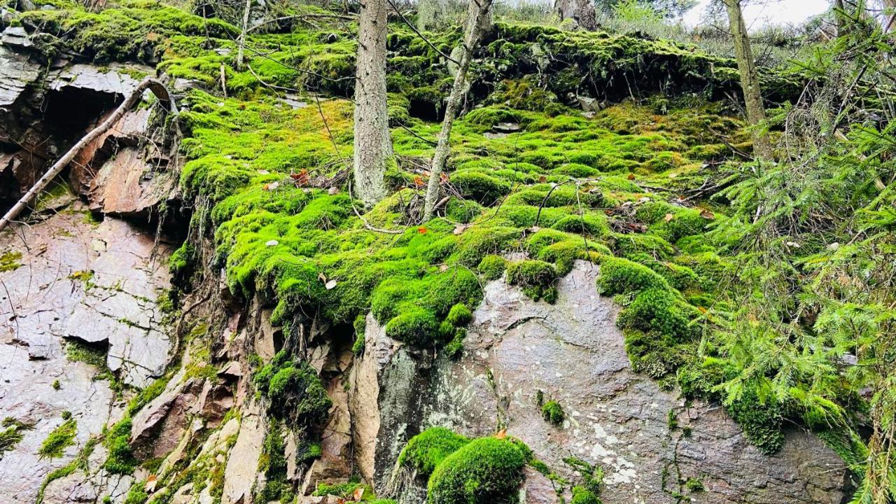 Apartmány u Bohumila Rybna nad Zdobnici Exterior foto