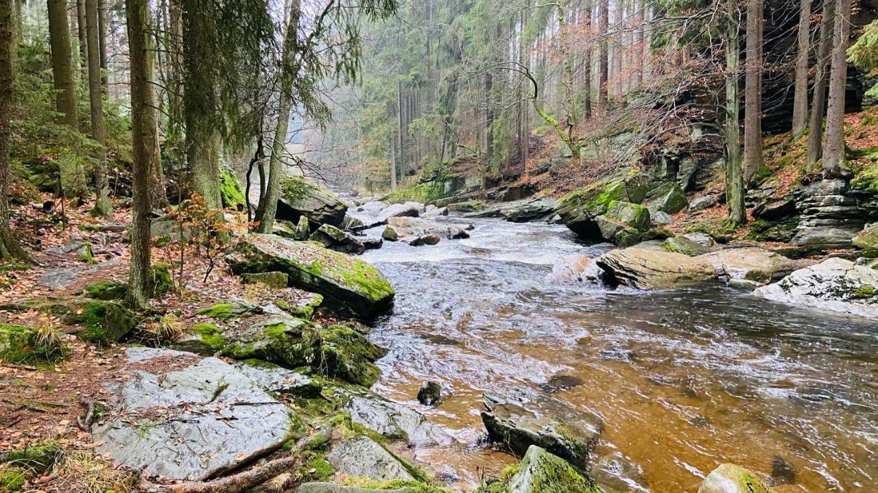 Apartmány u Bohumila Rybna nad Zdobnici Exterior foto