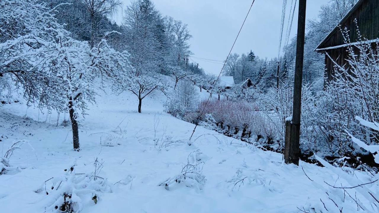 Apartmány u Bohumila Rybna nad Zdobnici Exterior foto